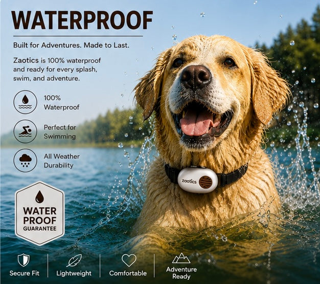 ZAOTICS™ AI Pet Communicator Collar.